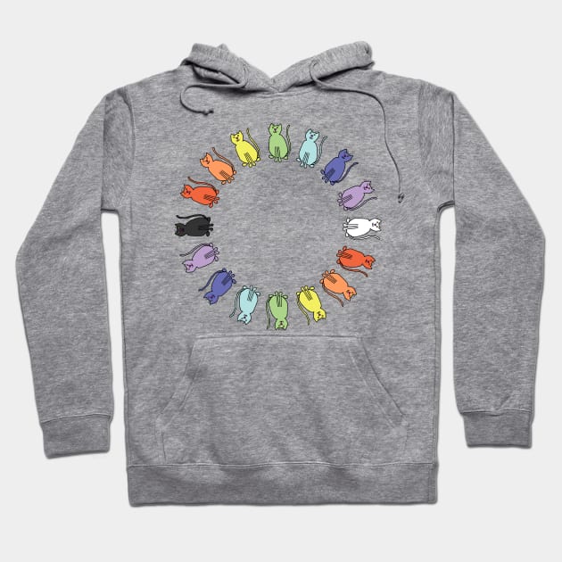 Cute Circle Rainbow Cat Graphic Hoodie by ellenhenryart